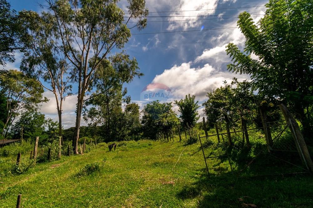 Chácara / Sítio / Fazenda - Venda - Planaltina , Distrito Federal - DSC_6627.jpg - 880341026-72