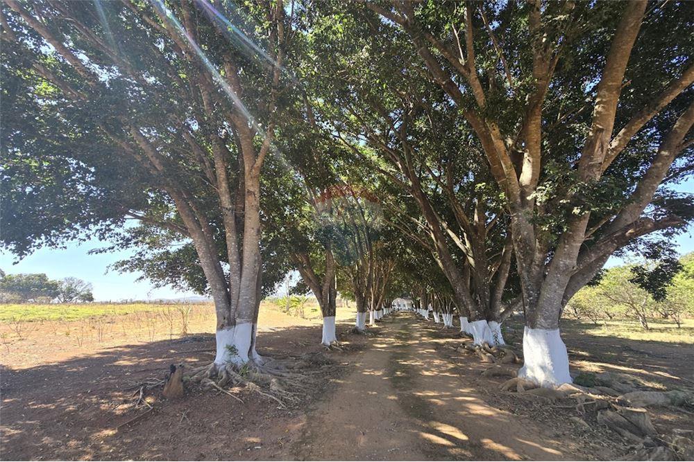 Chácara / Sítio / Fazenda - Venda - Gama , Distrito Federal - 15 - 880321005-55