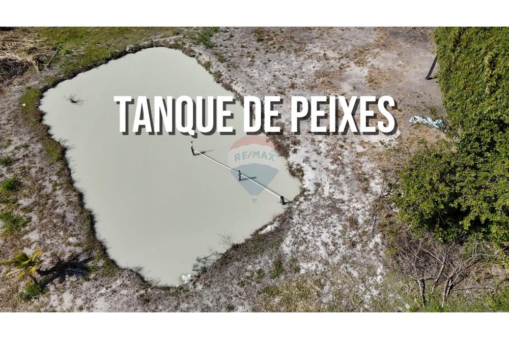 Chácara / Sítio / Fazenda - Venda - Ceilandia , Distrito Federal - Tanque.jpg - 880411001-271