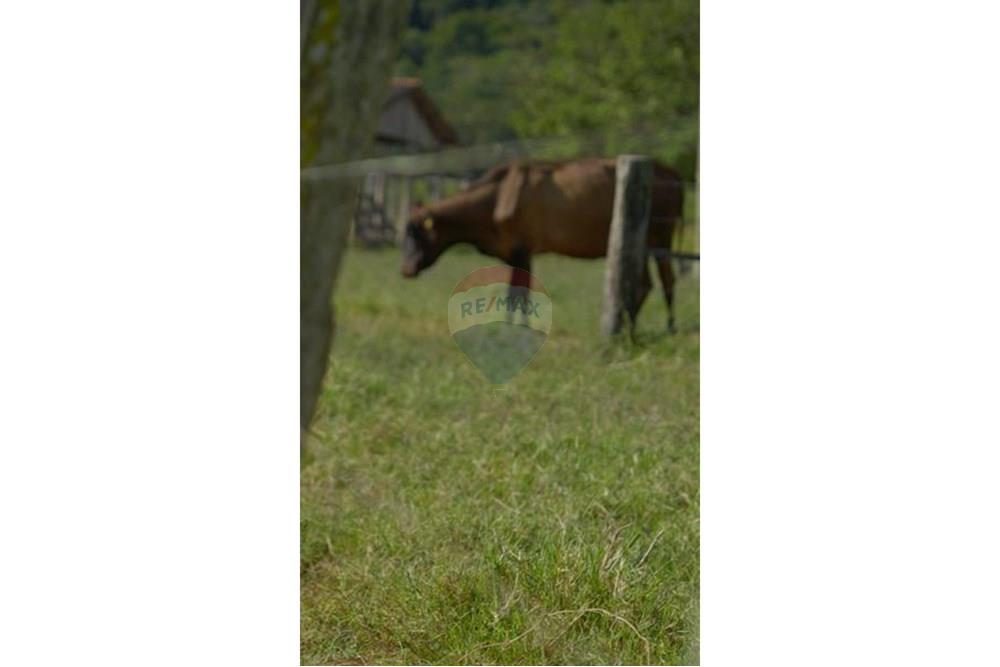 Chácara / Sítio / Fazenda - Venda - Unaí , Minas Gerais - WhatsApp Image 2025-02-26 at 08.09.35 (3).jpeg - Jardim Externo - 880261133-87