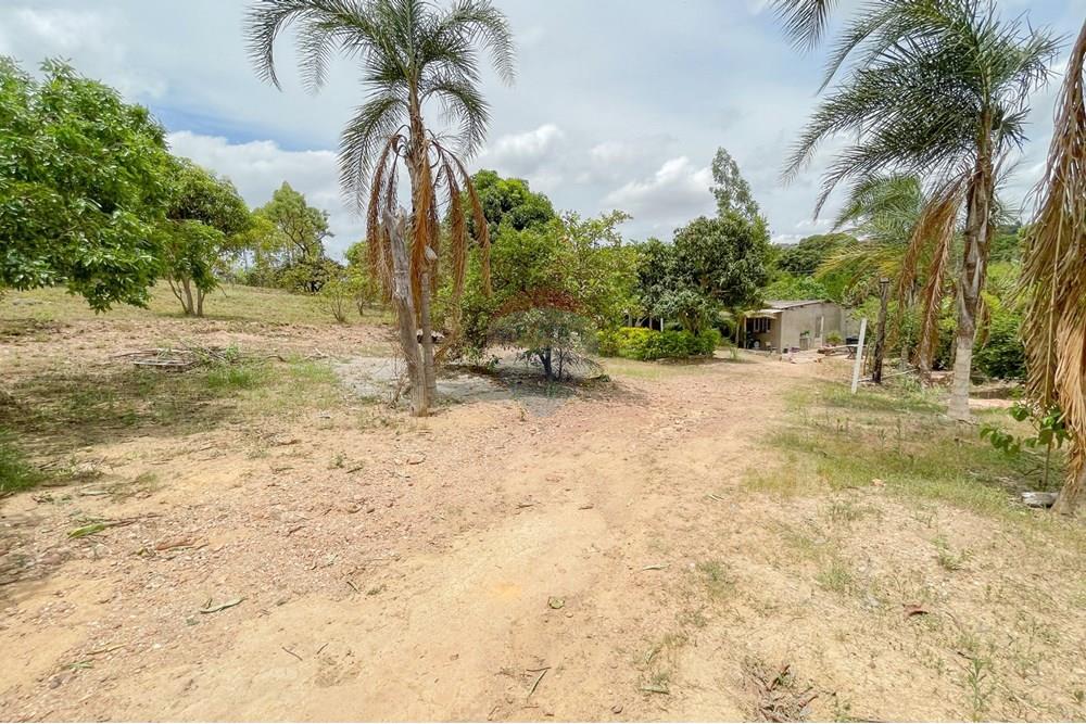 Chácara / Sítio / Fazenda - Venda - Riacho Fundo , Distrito Federal - IMG_1995.jpg - 880161051-22