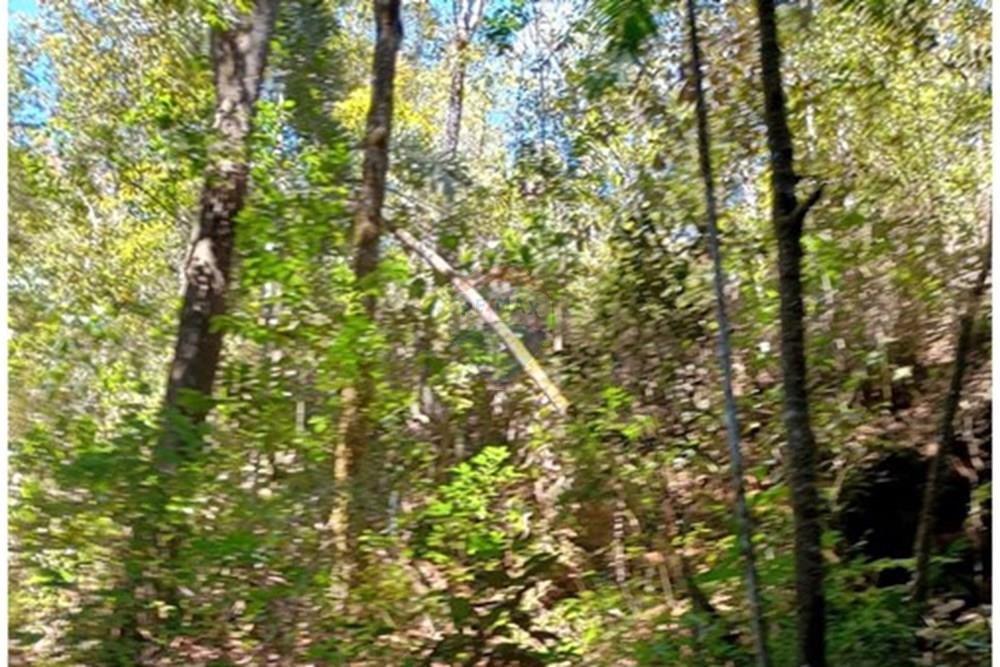 Chácara / Sítio / Fazenda - Venda - Luziânia , Goiás - Imagem do WhatsApp de 2025-06-26 à(s) 23.13.25_cb2c73be.jpg - 880231017-81