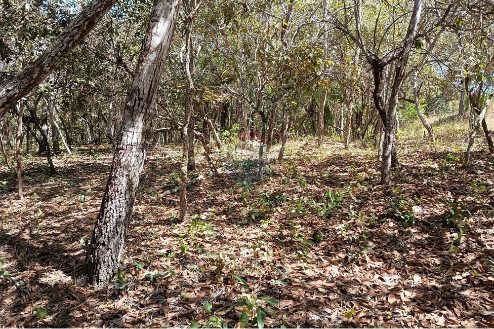 Chácara / Sítio / Fazenda - Venda - Luziânia , Goiás - Imagem do WhatsApp de 2025-06-26 à(s) 23.13.19_d7590498.jpg - 880231017-81