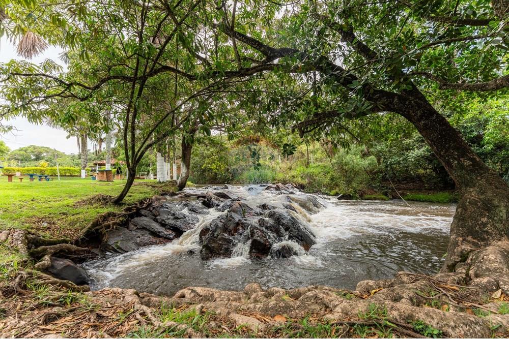Chácara / Sítio / Fazenda - Venda - Planaltina , Distrito Federal - DSC01906.jpg - 880241084-1