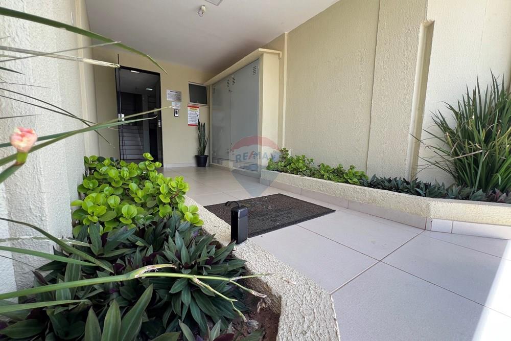 Apartamento - Venda - Santa Maria , Distrito Federal - IMG_2306.JPG - 880351010-96