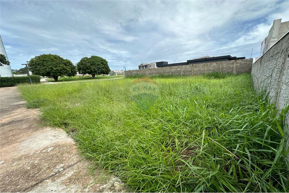 Terreno - Venda - Brasília , Distrito Federal - 3 - 880321003-432