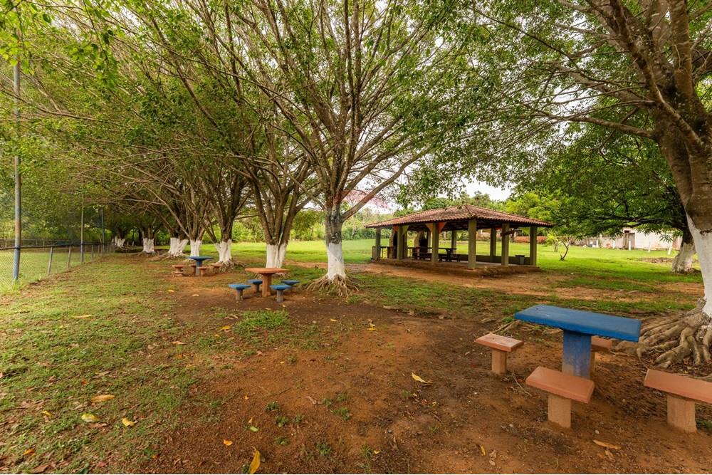 Chácara / Sítio / Fazenda - Venda - Planaltina , Distrito Federal - DSC01909.jpg - 880241084-1