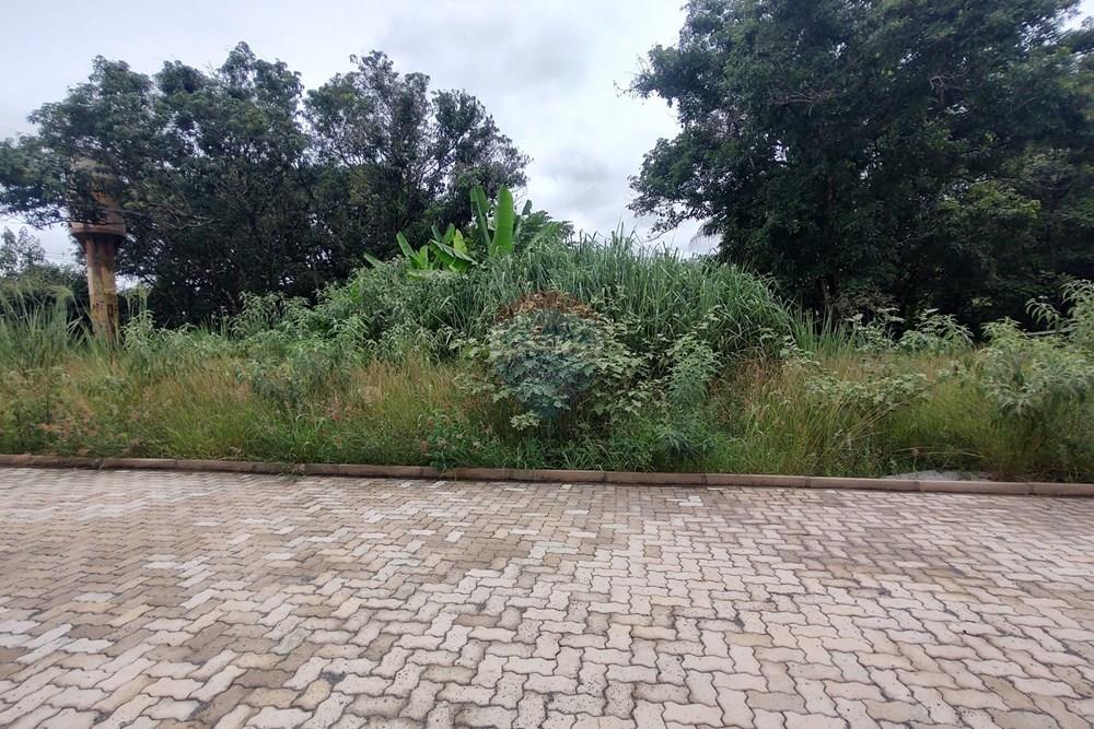 Terreno - Venda - Águas Claras , Distrito Federal - IMG_20260221_104251049_HDR.jpg - 880241014-29