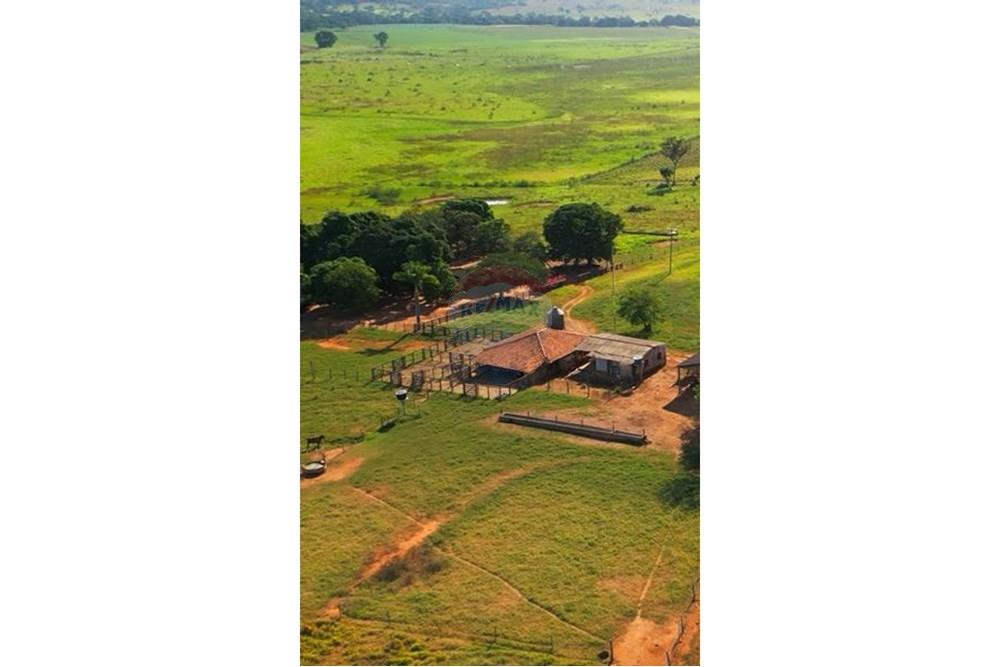 Chácara / Sítio / Fazenda - Venda - Unaí , Minas Gerais - WhatsApp Image 2025-02-26 at 08.09.36 (2).jpeg - Jardim Externo - 880261133-87