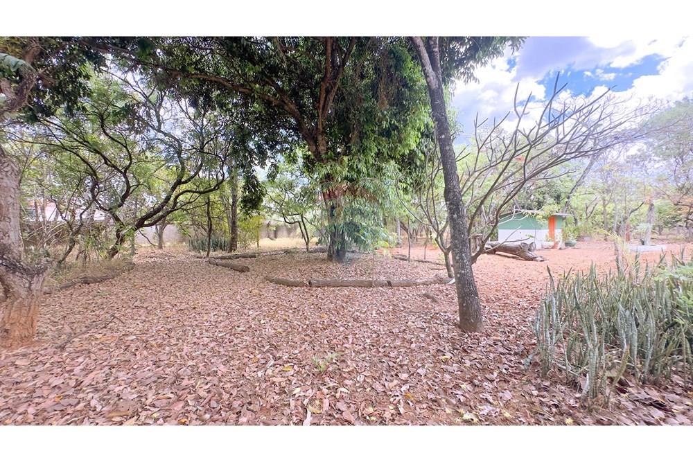 Casa - Venda - Sobradinho , Distrito Federal - IMG_1668.jpg - 880331120-16