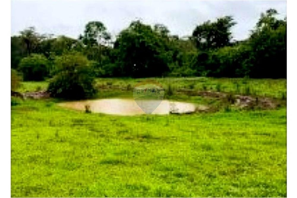 Fazenda - Venda - Cabeceiras , Goiás - ILIST_3x2_Imagem11_Acude.jpg - 880241072-4