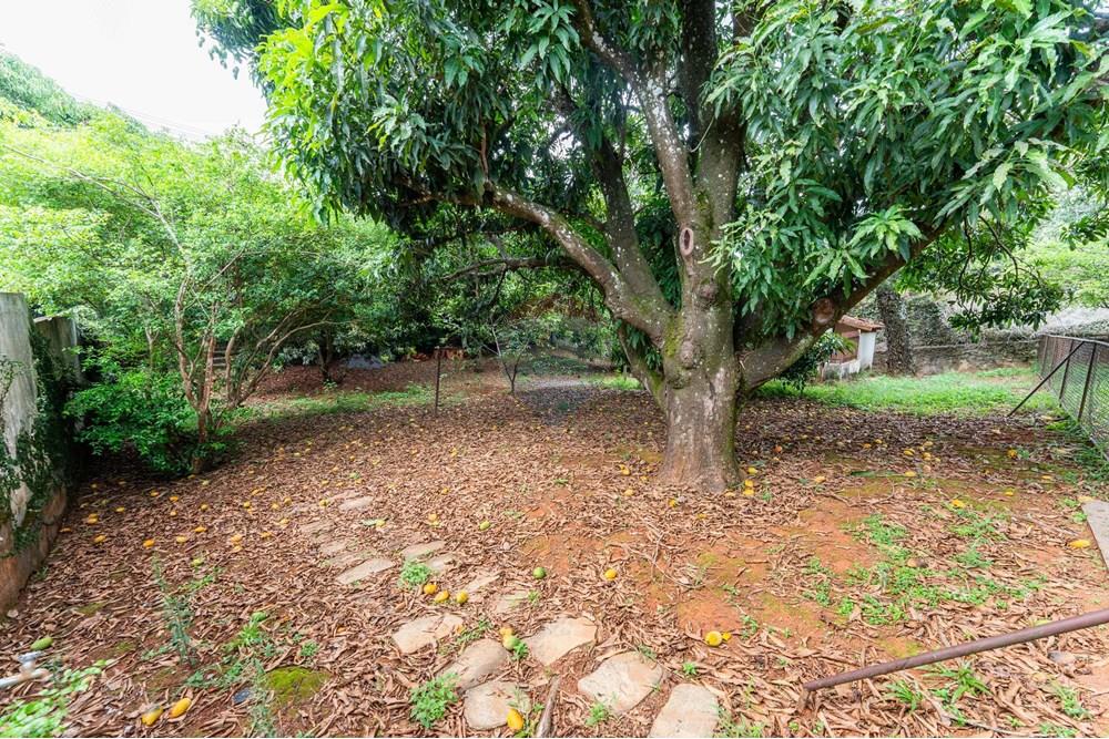 Casa - Venda - Brasília , Distrito Federal - DSC01991.jpg - 880461010-62