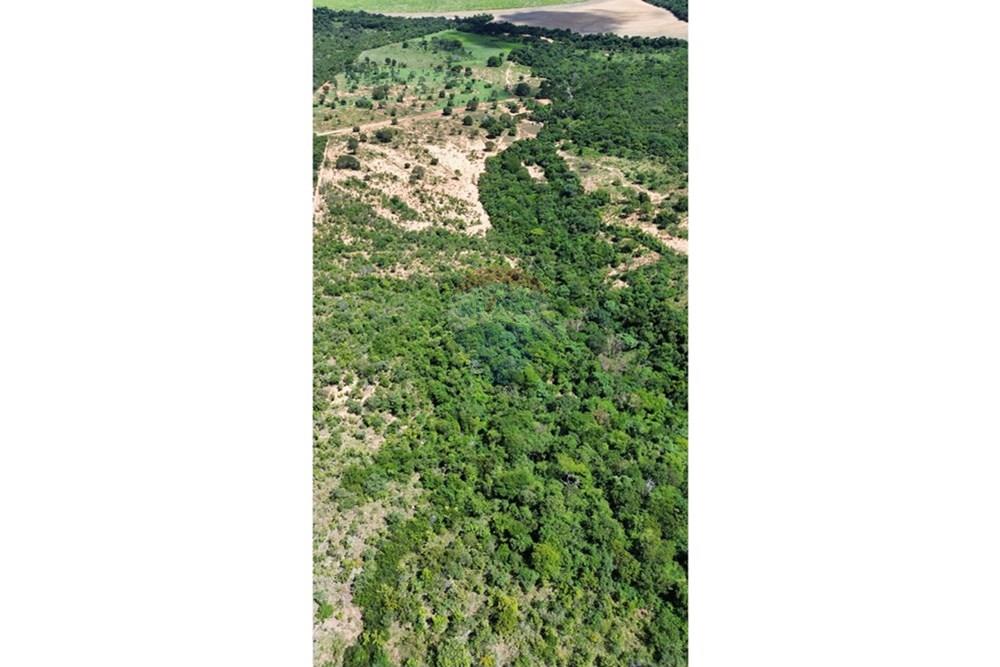 Chácara / Sítio / Fazenda - Venda - Arinos , Minas Gerais - IMG-20250420-WA0042.jpg - 880231174-6