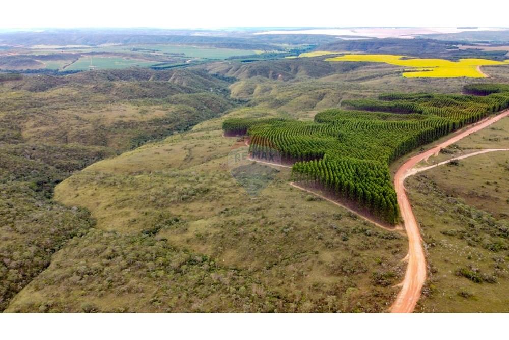 Chácara / Sítio / Fazenda - Venda - Água Fria de Goiás , Goiás - IMG-20250526-WA0148.jpg - 880231017-84