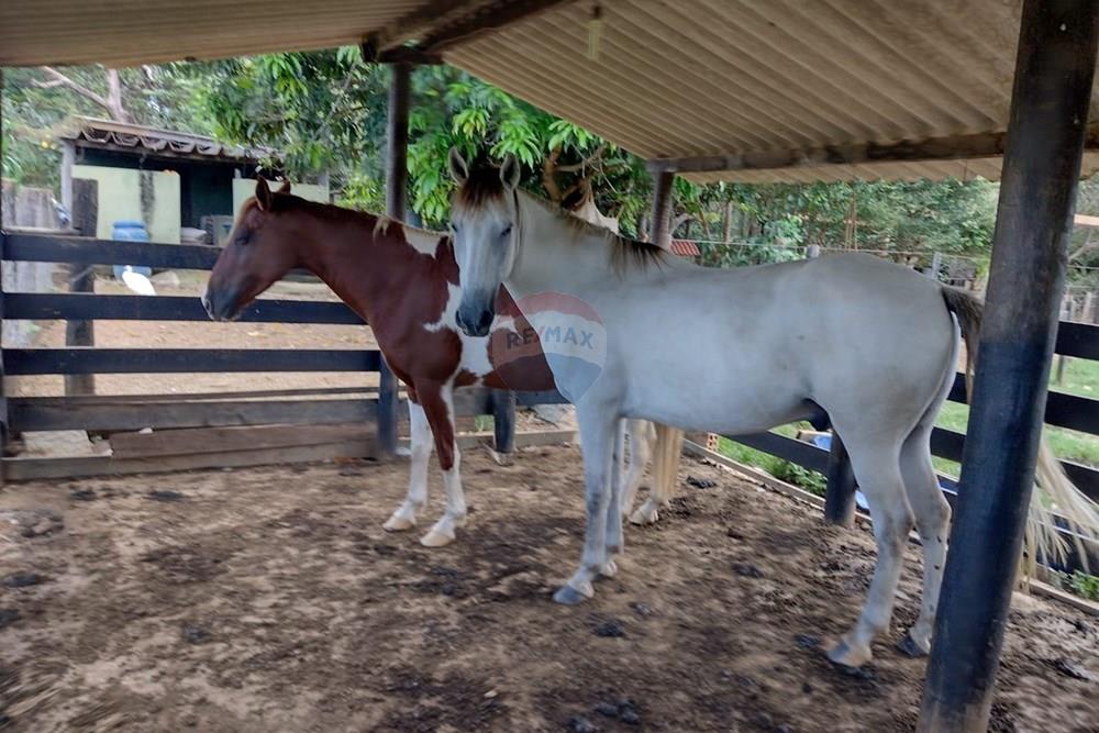 Chácara / Sítio / Fazenda - Venda - Formosa , Goiás - WhatsApp Image 2026-02-02 at 14.26.53.jpeg - 880231017-86