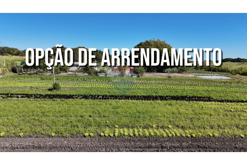 Chácara / Sítio / Fazenda - Venda - Ceilandia , Distrito Federal - Incra 09(1).jpg - 880411001-271