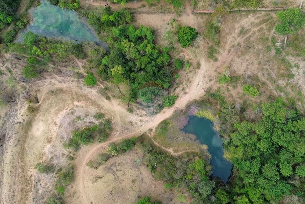 Chácara / Sítio / Fazenda - Venda - Gama , Distrito Federal - Captura de Tela (9878) copiar.jpg - 880161051-13