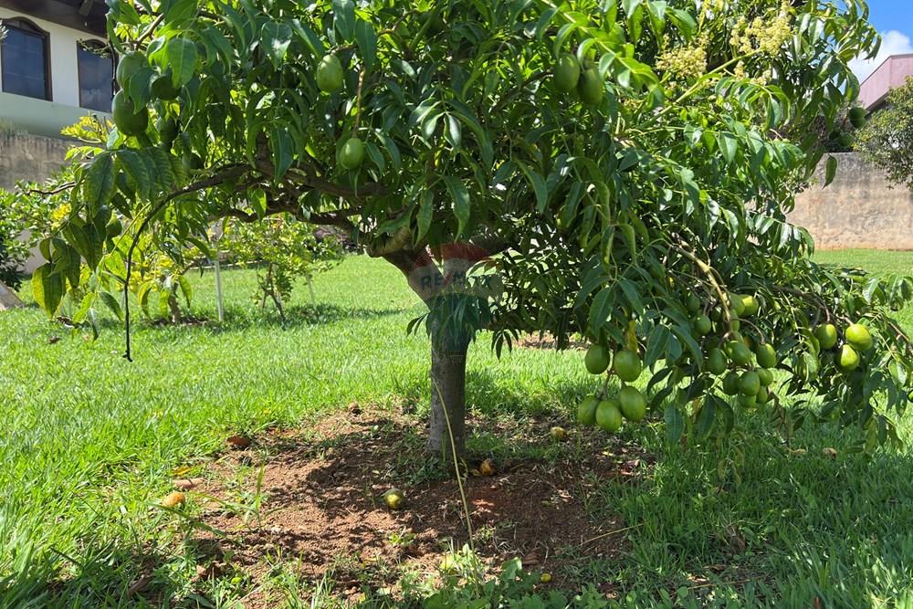 Casa - Venda - Taguatinga , Distrito Federal - IMG_3112.JPG - 880351011-84