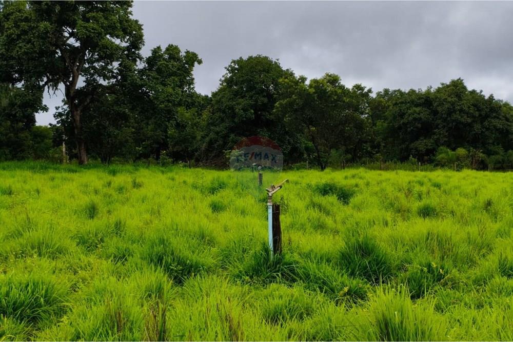 Chácara / Sítio / Fazenda - Venda - Formosa , Goiás - WhatsApp Image 2026-01-28 at 12.04.51 (1).jpeg - 880231017-86