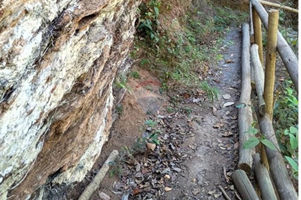 Chácara / Sítio / Fazenda - Venda - Luziânia , Goiás - Imagem do WhatsApp de 2025-06-26 à(s) 23.13.20_7c11d76b.jpg - 880231017-81