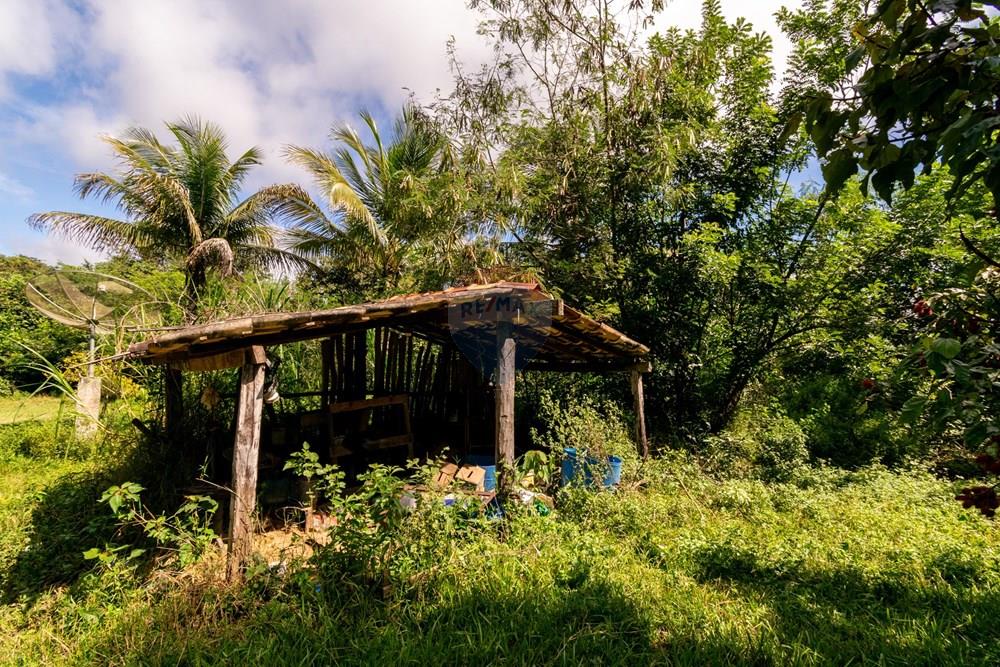 Chácara / Sítio / Fazenda - Venda - Planaltina , Distrito Federal - DSC_6633.jpg - 880341026-72