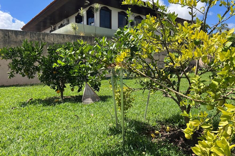 Casa - Venda - Taguatinga , Distrito Federal - IMG_3113.JPG - 880351011-84