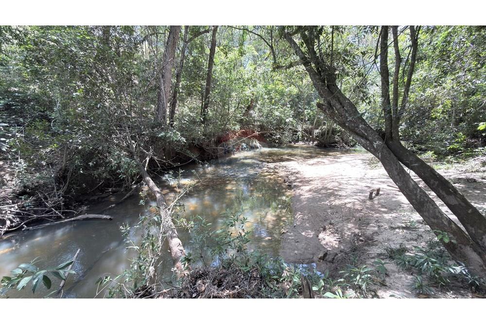 Chácara / Sítio / Fazenda - Venda - Paranoa , Distrito Federal - IMG_1153.jpg - 880341141-3