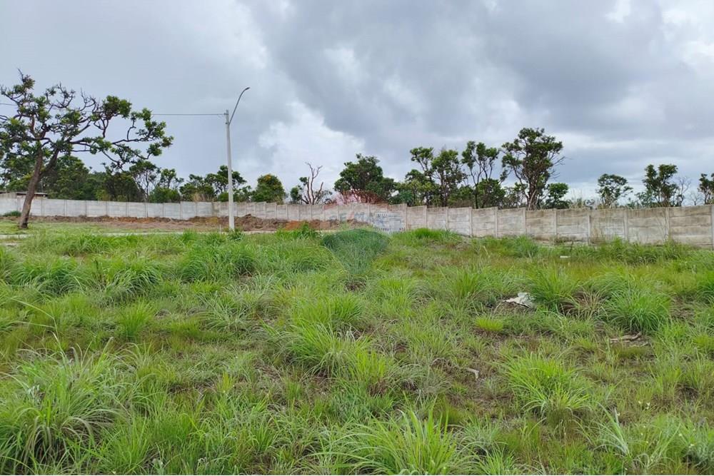 Terreno - Venda - Gama , Distrito Federal - WhatsApp Image 2025-12-30 at 16.14.27.jpeg - 880231178-4