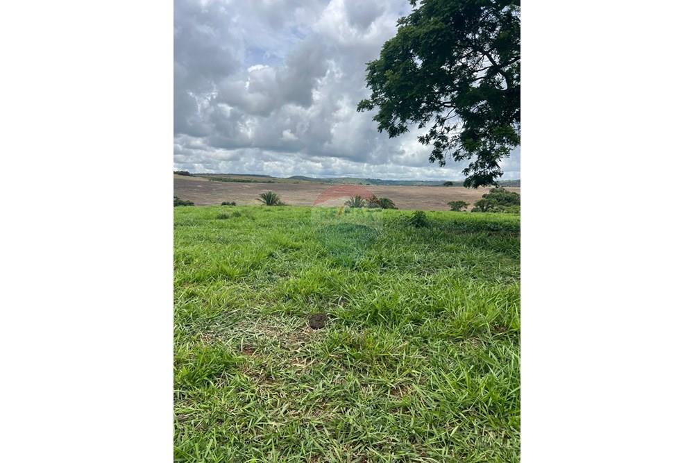 Chácara / Sítio / Fazenda - Venda - Cocalzinho de Goiás , Goiás - fazenda 3.jpeg - 880351098-3