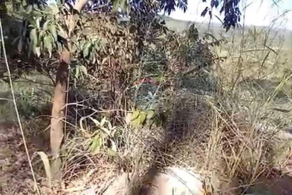 Chácara / Sítio / Fazenda - Venda - Água Fria de Goiás , Goiás - IMG-20250523-WA0246.jpg - 880231017-84