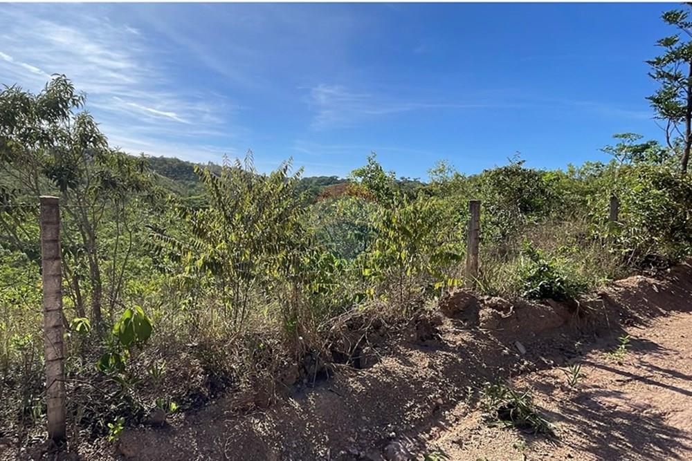 Chácara / Sítio / Fazenda - Venda - Brasília , Distrito Federal - IMG_9083.JPG - 880461009-47