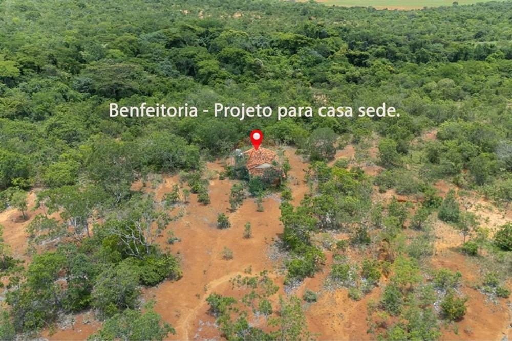 Chácara / Sítio / Fazenda - Venda - Buritis , Minas Gerais - DJI_20260201115754_0181_D.jpg - Layout aberto - 880461004-155