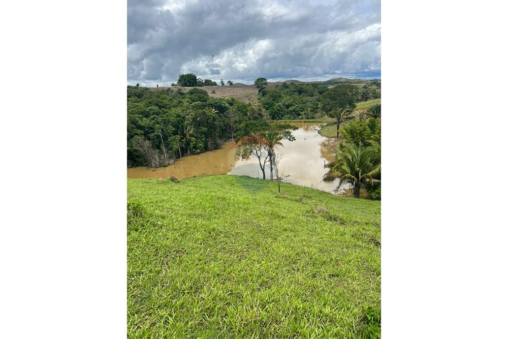 Chácara / Sítio / Fazenda - Venda - Cocalzinho de Goiás , Goiás - fazenda lago - Copia.jpeg - 880351098-3