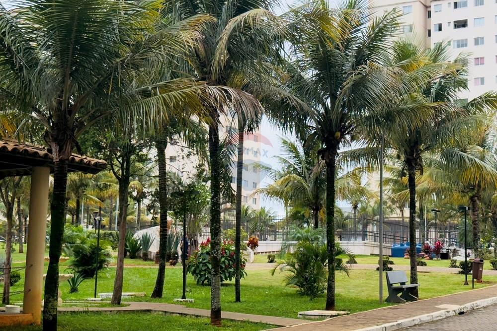 Apartamento - Venda - Ceilandia , Distrito Federal - IMG_7813.jpeg - 880391078-20