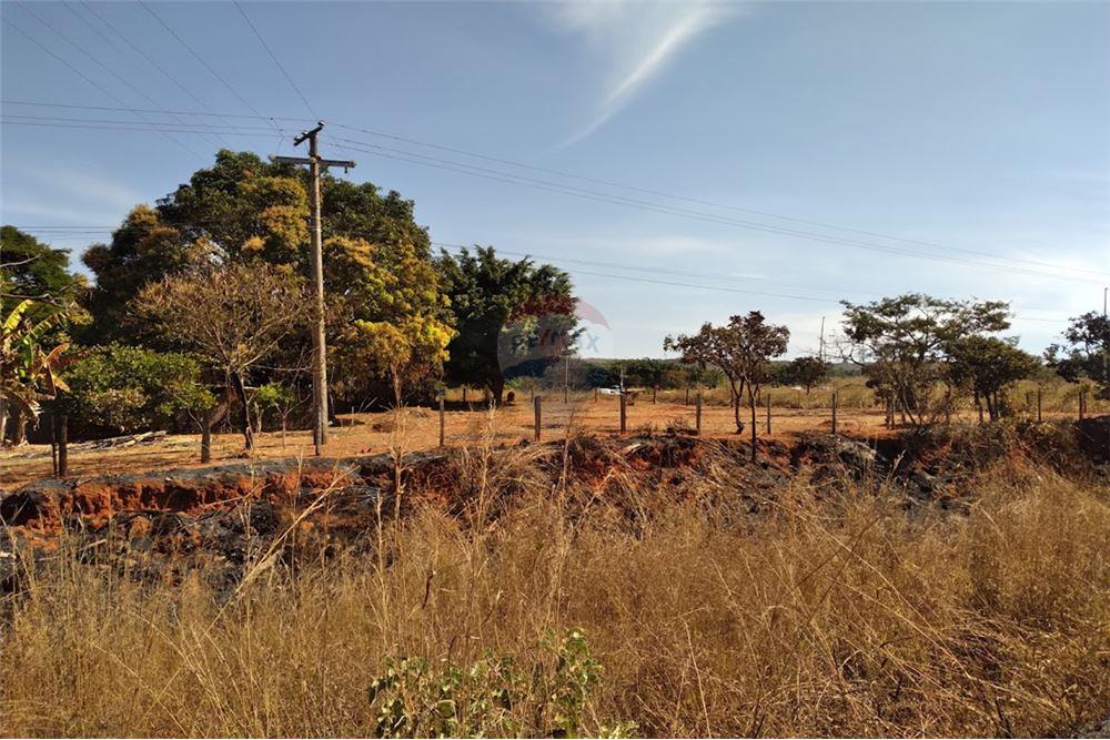 Chácara / Sítio / Fazenda - Venda - Gama , Distrito Federal - 24 - 880321005-55