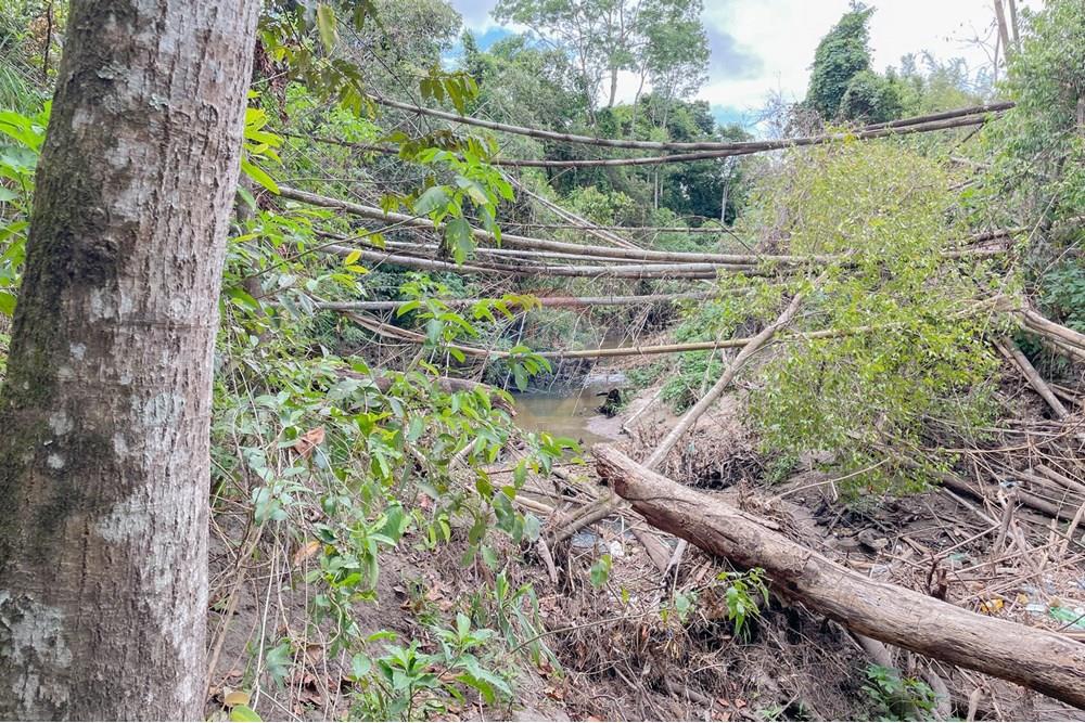 Chácara / Sítio / Fazenda - Venda - Riacho Fundo , Distrito Federal - IMG_1983.jpg - 880161051-22