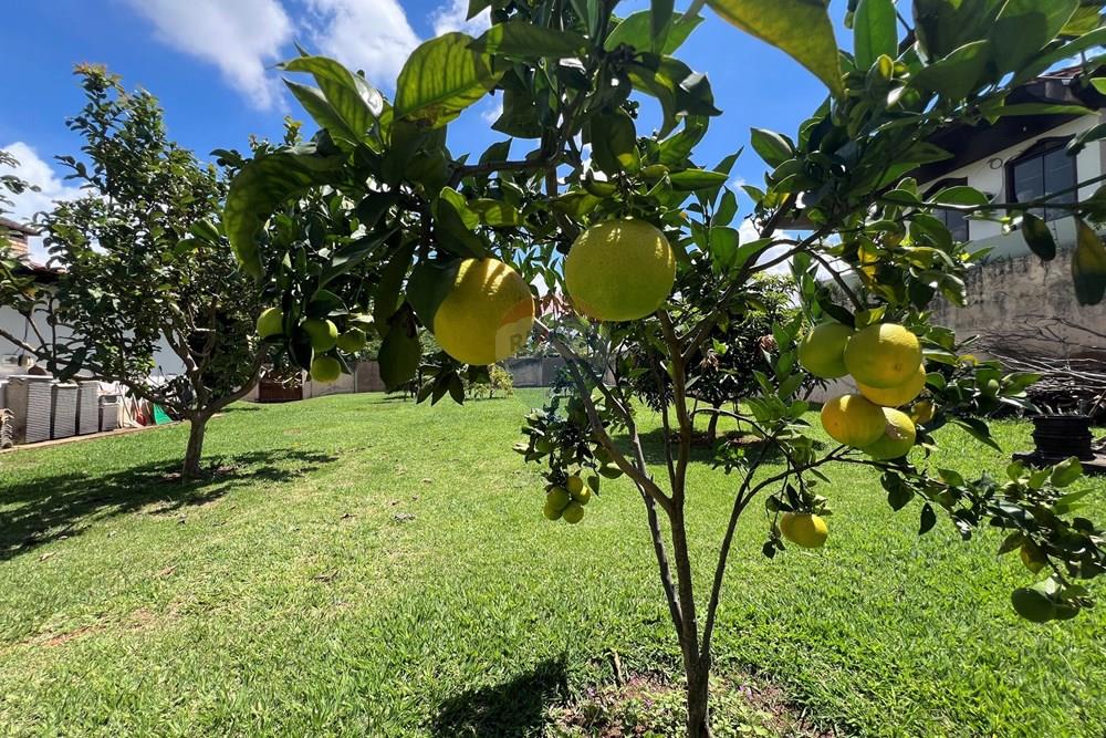 Casa - Venda - Taguatinga , Distrito Federal - IMG_3139.JPG - 880351011-84