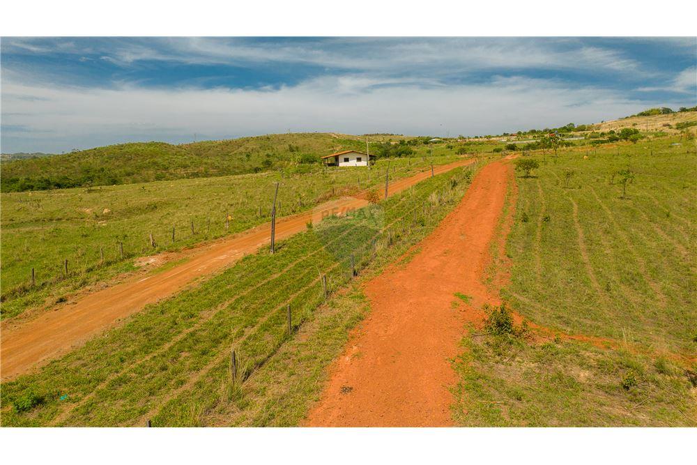 Chácara / Sítio / Fazenda - Venda - Ceilandia , Distrito Federal - 17 - 880241010-49