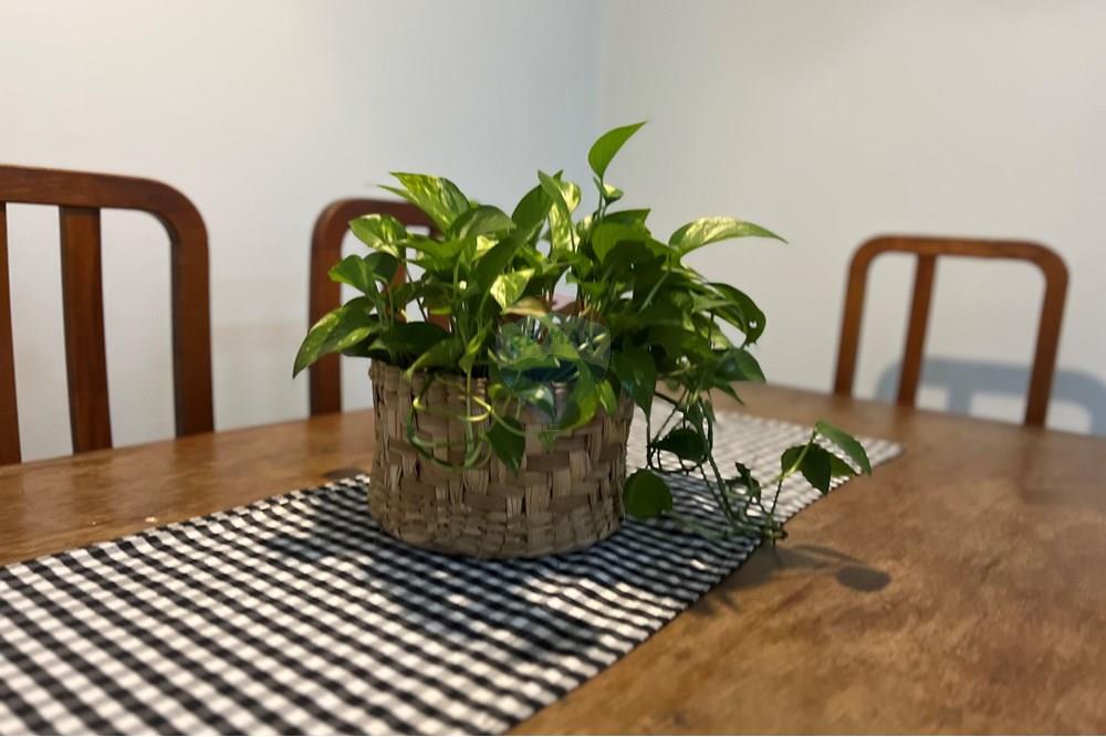 Casa - Venda - Taguatinga , Distrito Federal - IMG_0689.JPG - 880351001-176