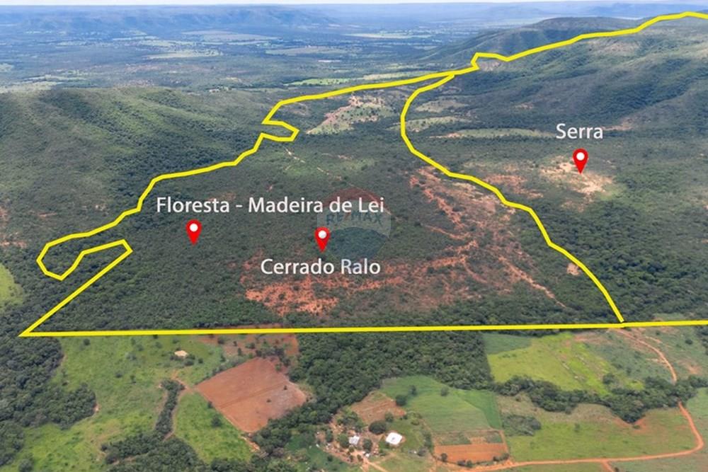 Chácara / Sítio / Fazenda - Venda - Buritis , Minas Gerais - DJI_20260201115137_0176_D.jpg - 880461004-155