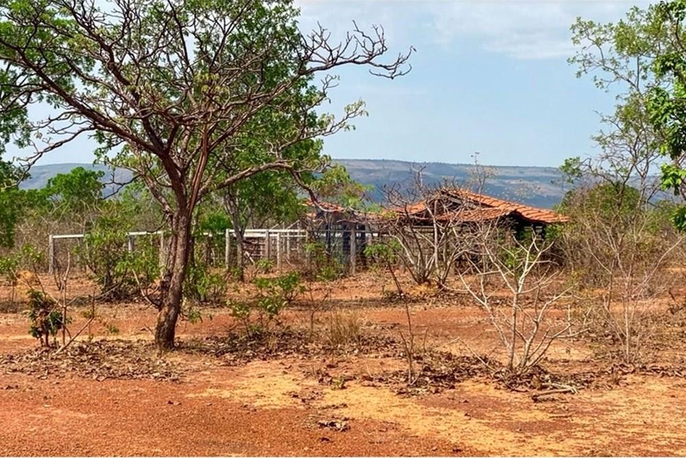 Chácara / Sítio / Fazenda - Venda - Buritis , Minas Gerais - curral 2.jpg - Layout aberto - 880461004-155