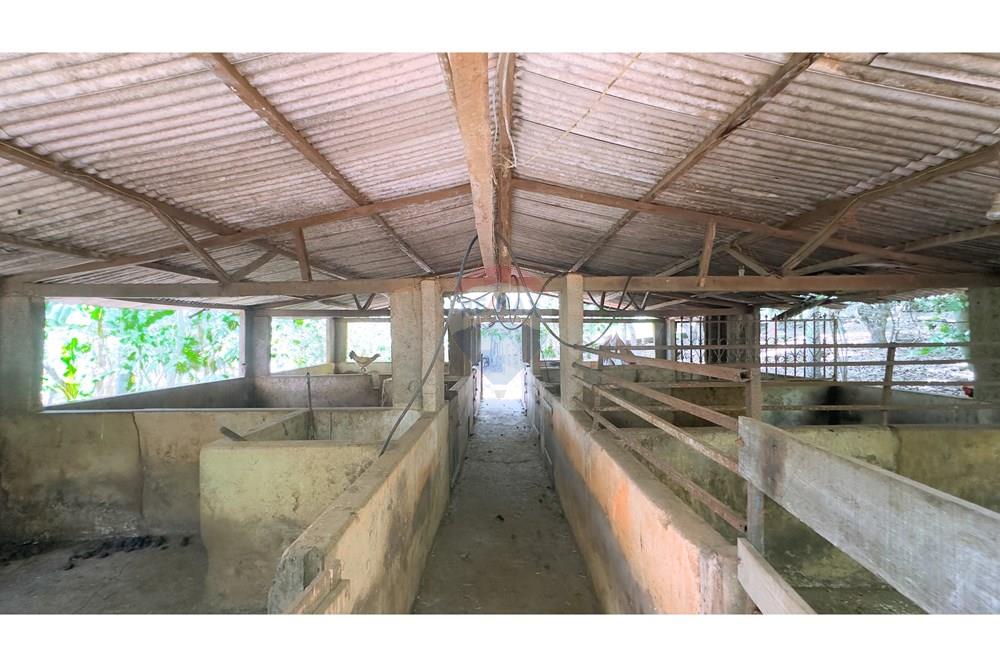 Chácara / Sítio / Fazenda - Venda - Cocalzinho de Goiás , Goiás - IMG_3381.jpg - 880341129-15