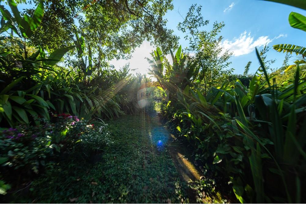 Chácara / Sítio / Fazenda - Venda - Brasília , Distrito Federal - DSC09219-Aprimorado-NR.jpg - 880461009-32