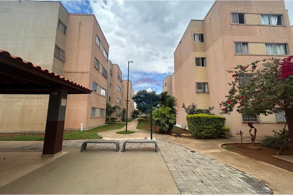 Apartamento - Venda - Riacho Fundo , Distrito Federal - IMG-20251203-WA0259.jpg - 880421001-76