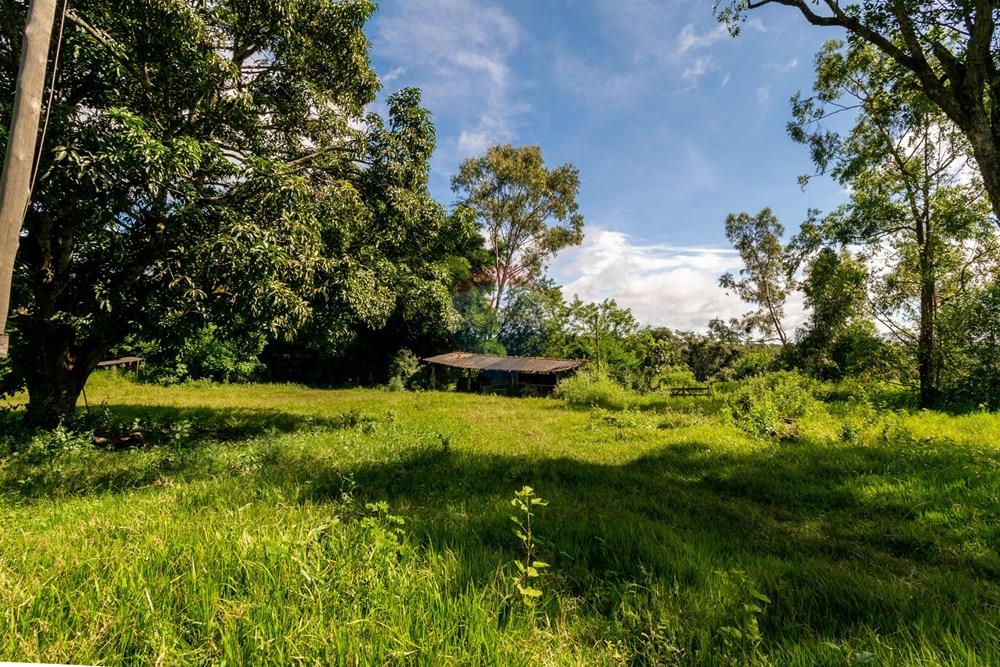 Chácara / Sítio / Fazenda - Venda - Planaltina , Distrito Federal - DSC_6629.jpg - 880341026-72