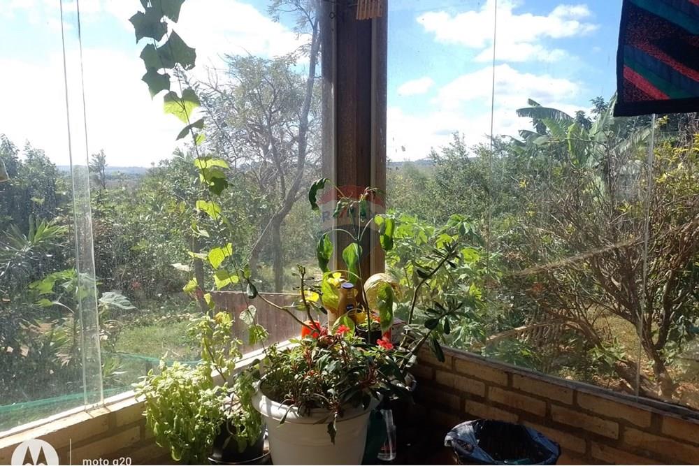 Chácara / Sítio / Fazenda - Venda - Ceilandia , Distrito Federal - WhatsApp Image 2025-05-20 at 14.24.13 (1).jpeg - 880401014-7