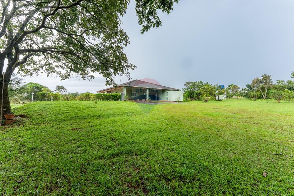 Chácara / Sítio / Fazenda - Venda - Sobradinho , Distrito Federal - DSC07414.jpg - 880221014-155