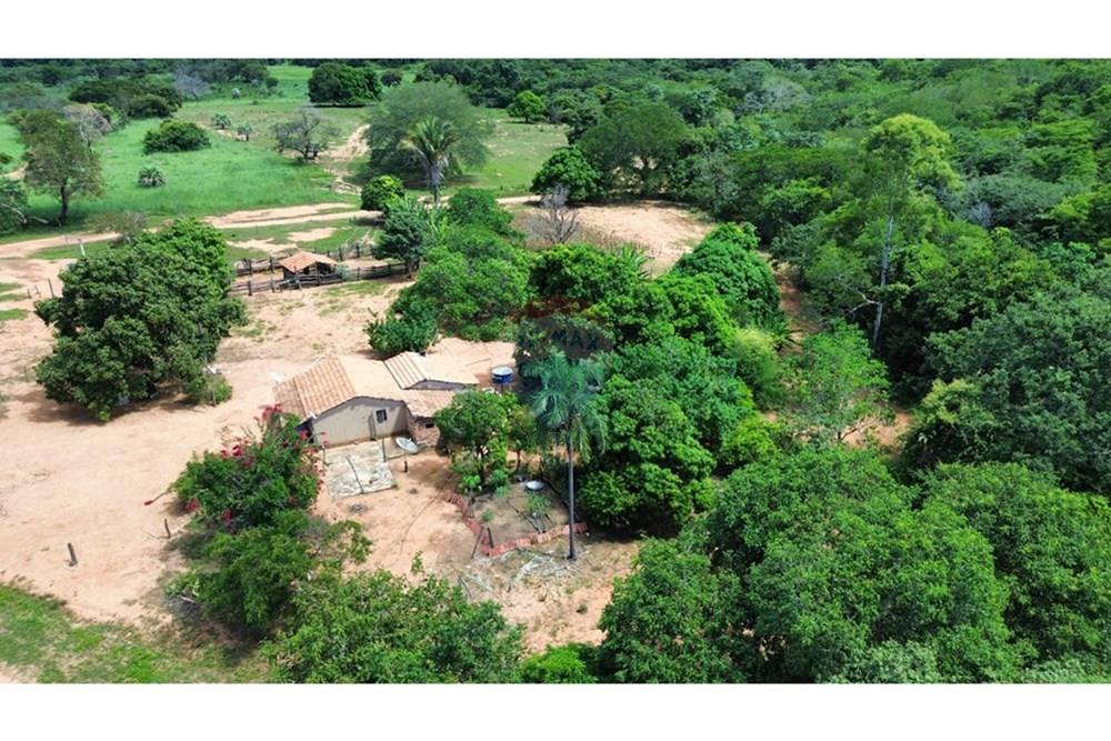 Chácara / Sítio / Fazenda - Venda - Arinos , Minas Gerais - IMG-20250420-WA0034.jpg - 880231174-6