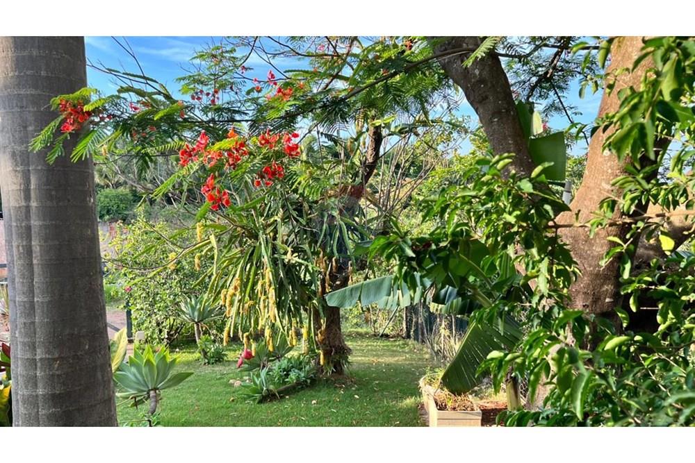 Casa - Venda - Águas Claras , Distrito Federal - WhatsApp Image 2026-03-25 at 22.39.22 (10).jpeg - 880351011-90