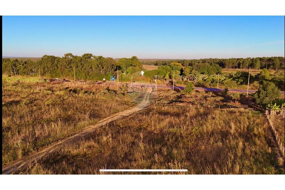 Galpão - Venda - Brazlandia , Distrito Federal - IMG_6991.jpeg - 880351001-192